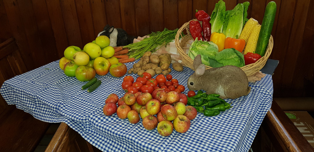 Harvest fruit & veg