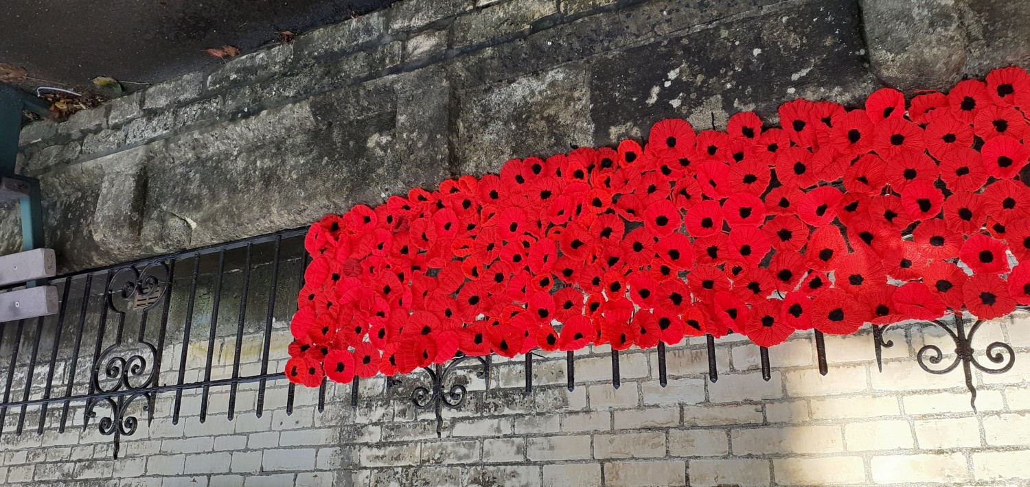 Poppies on Railings